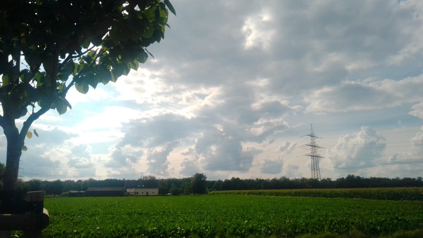 Himmeölsansicht in Tönisvort an der Grenze zum Fortwald (Krefeld)