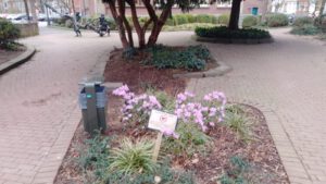 Frühling hält auch da Einzug, wo kein Hund sein Geschäft verrichten darf