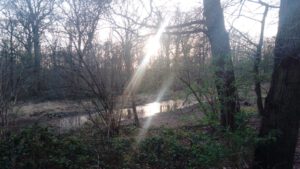 Die Abendsonne am Hülser Berg