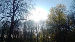 Unterwegs mit der Sonne - nicht nur im Herzen