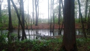 Der Spaziergang fällt ins Wasser