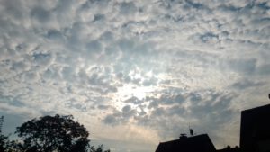 Morgens im Revier - Titelbild