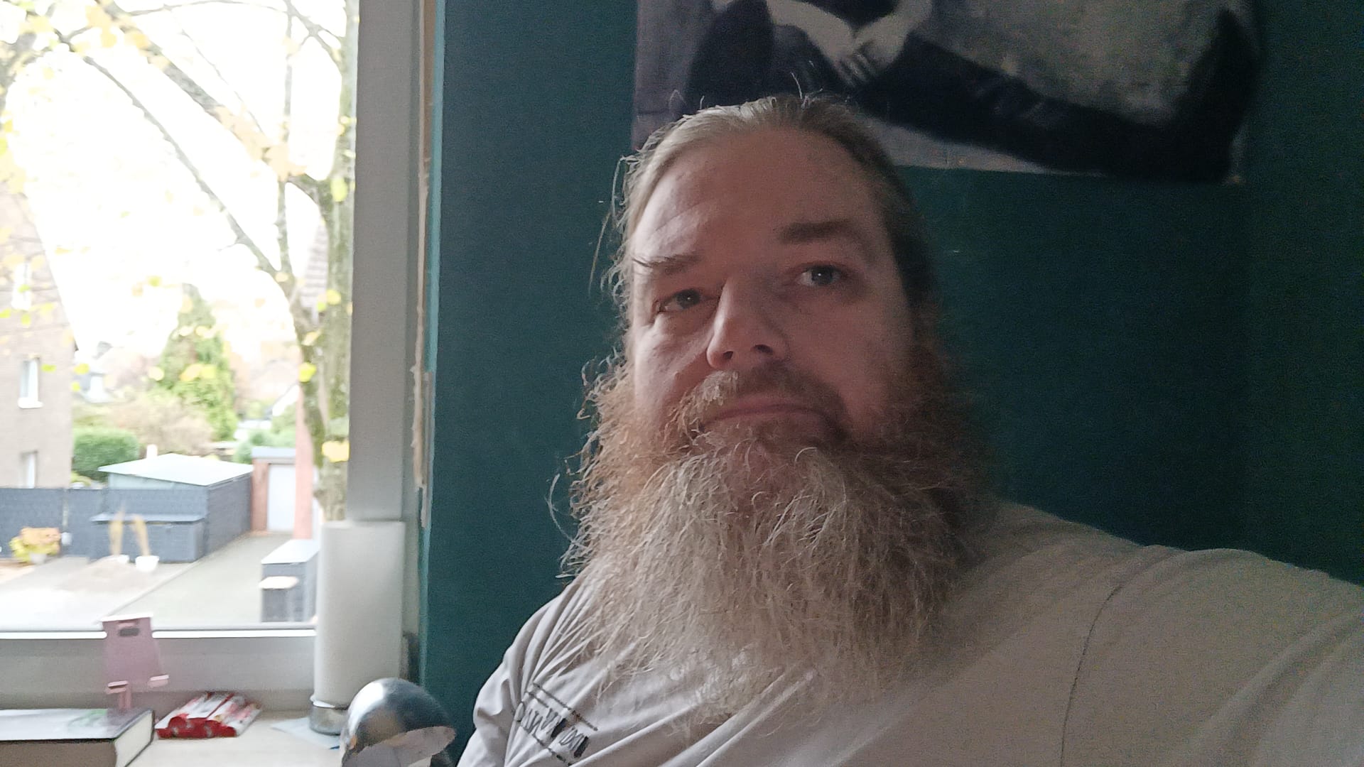 Geduld oder Wahnsinn - Titelbild