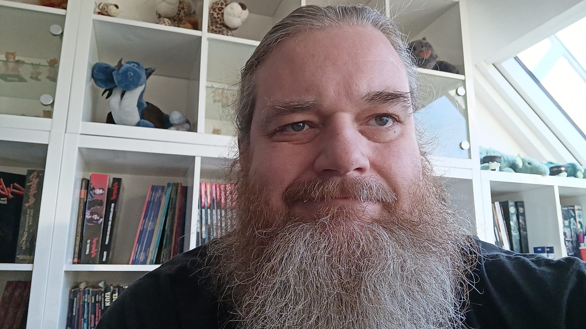 Immer noch verdammt müde - Titelbild