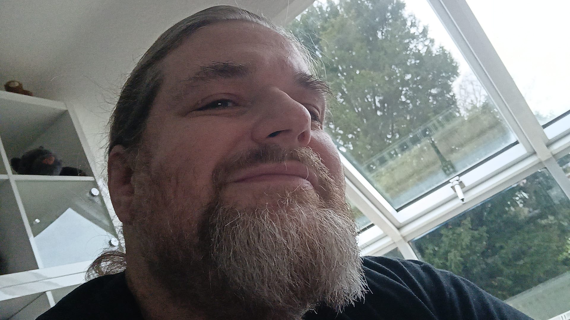 Worüber so ein Mausebär nachdenkt...- Titelbild